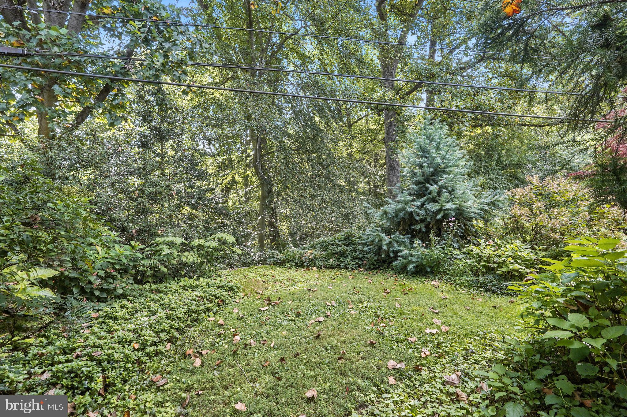 8420 Chippewa Road Philadelphia, PA 19128 - Photo 28 of 30 a view of a yard with a tree