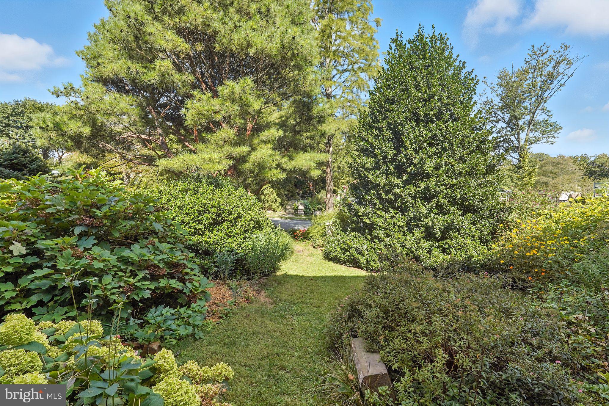 8420 Chippewa Road Philadelphia, PA 19128 - Photo 29 of 30 a view of a garden with a tree