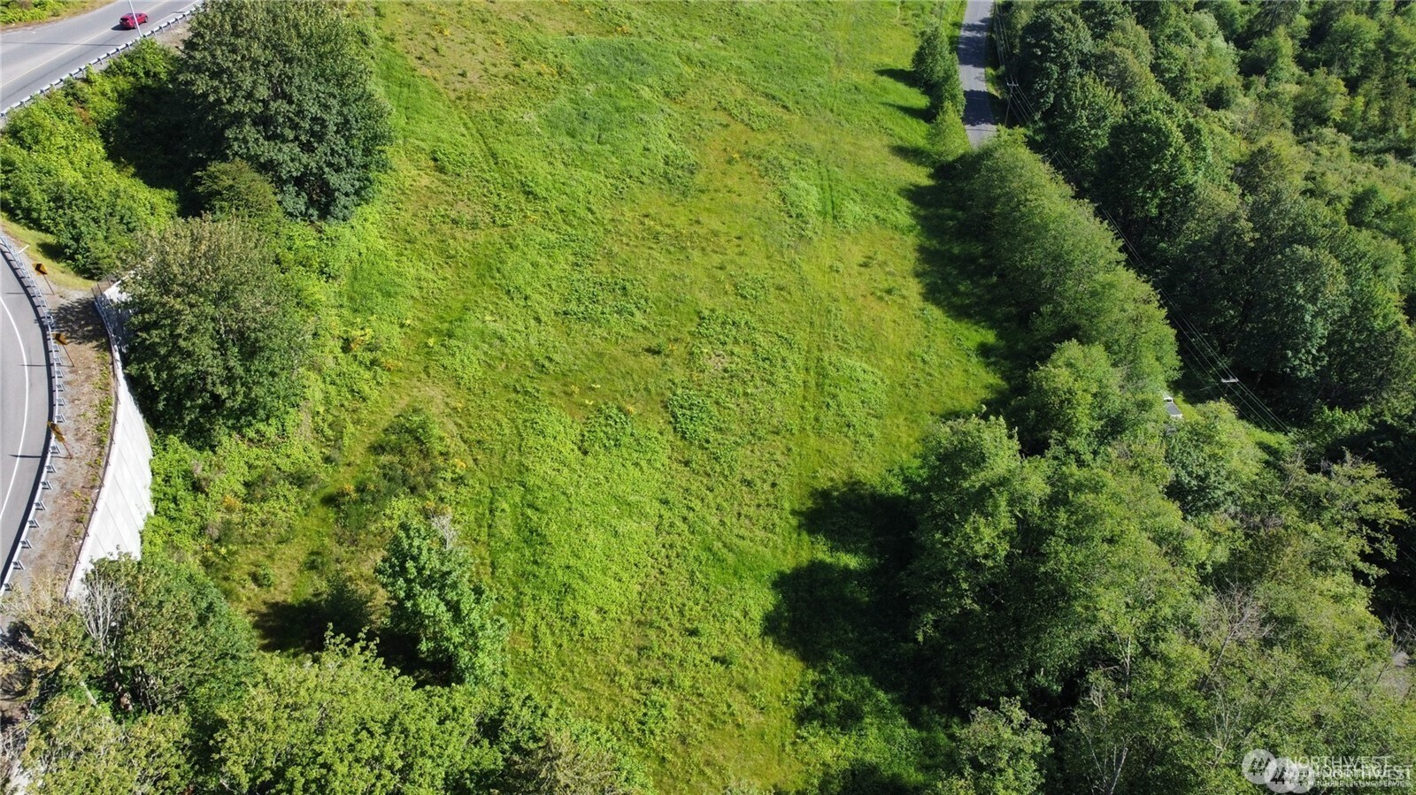 an aerial view of a garden with plants