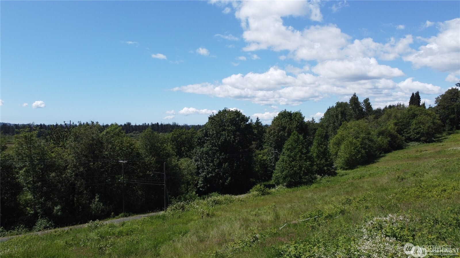 4325 Fobes Road Snohomish, WA 98290 - Photo 5 of 9 a view of a bunch of trees in a field