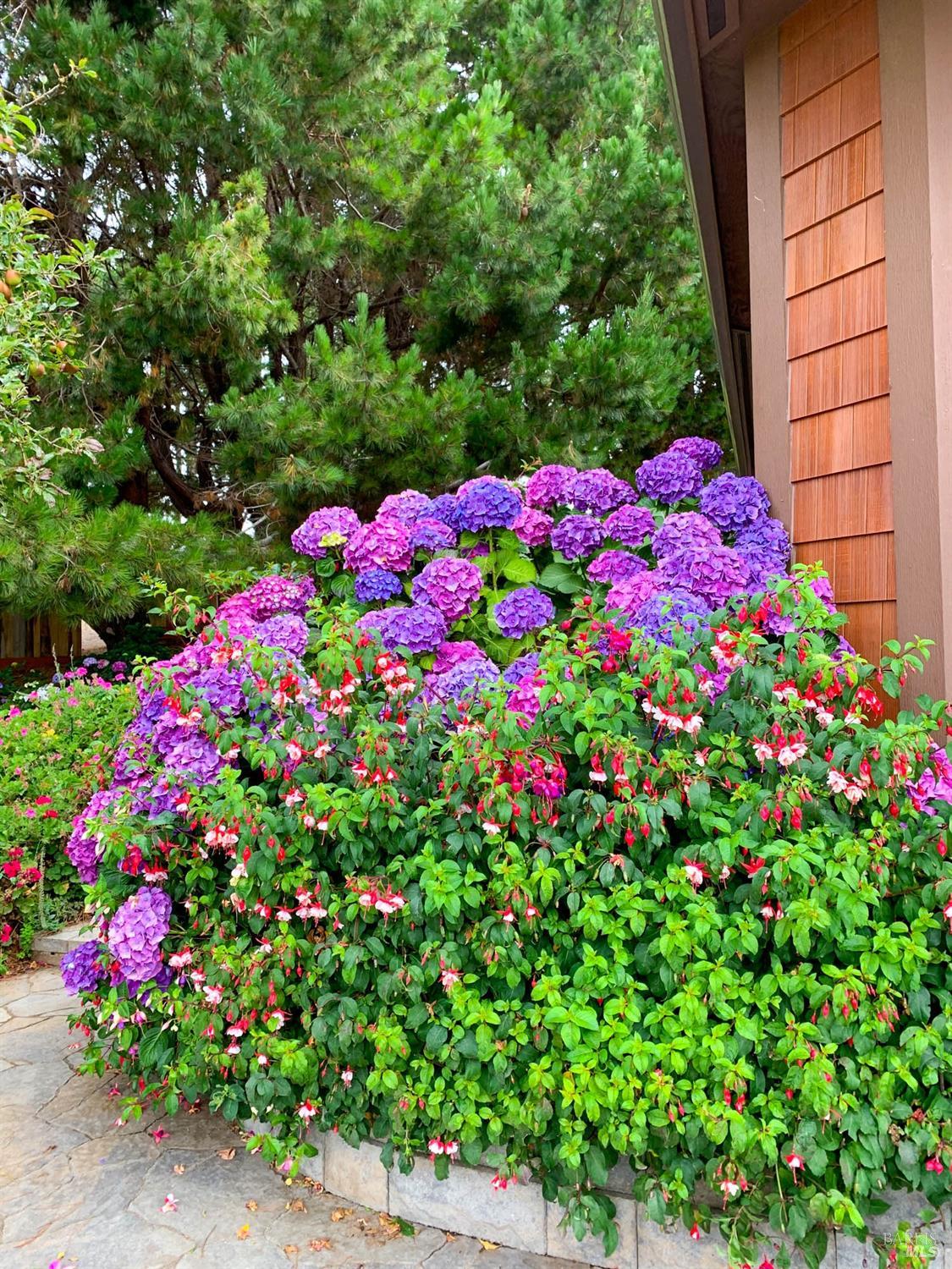 43500 Crispin Road Manchester, CA 95459 - Photo 35 of 98