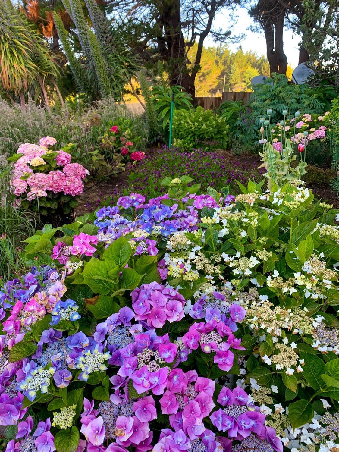 43500 Crispin Road Manchester, CA 95459 - Photo 36 of 98