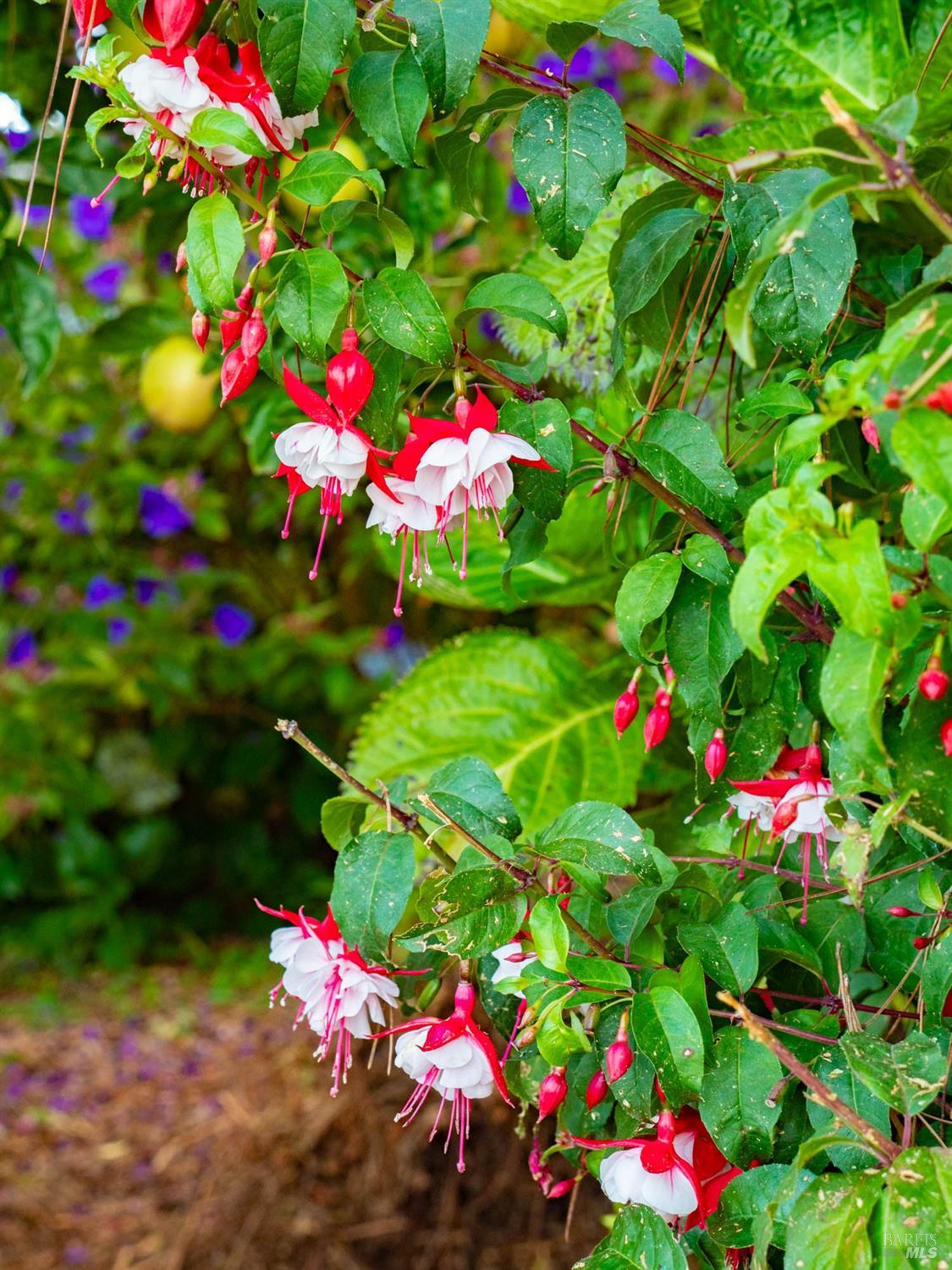 43500 Crispin Road Manchester, CA 95459 - Photo 41 of 98