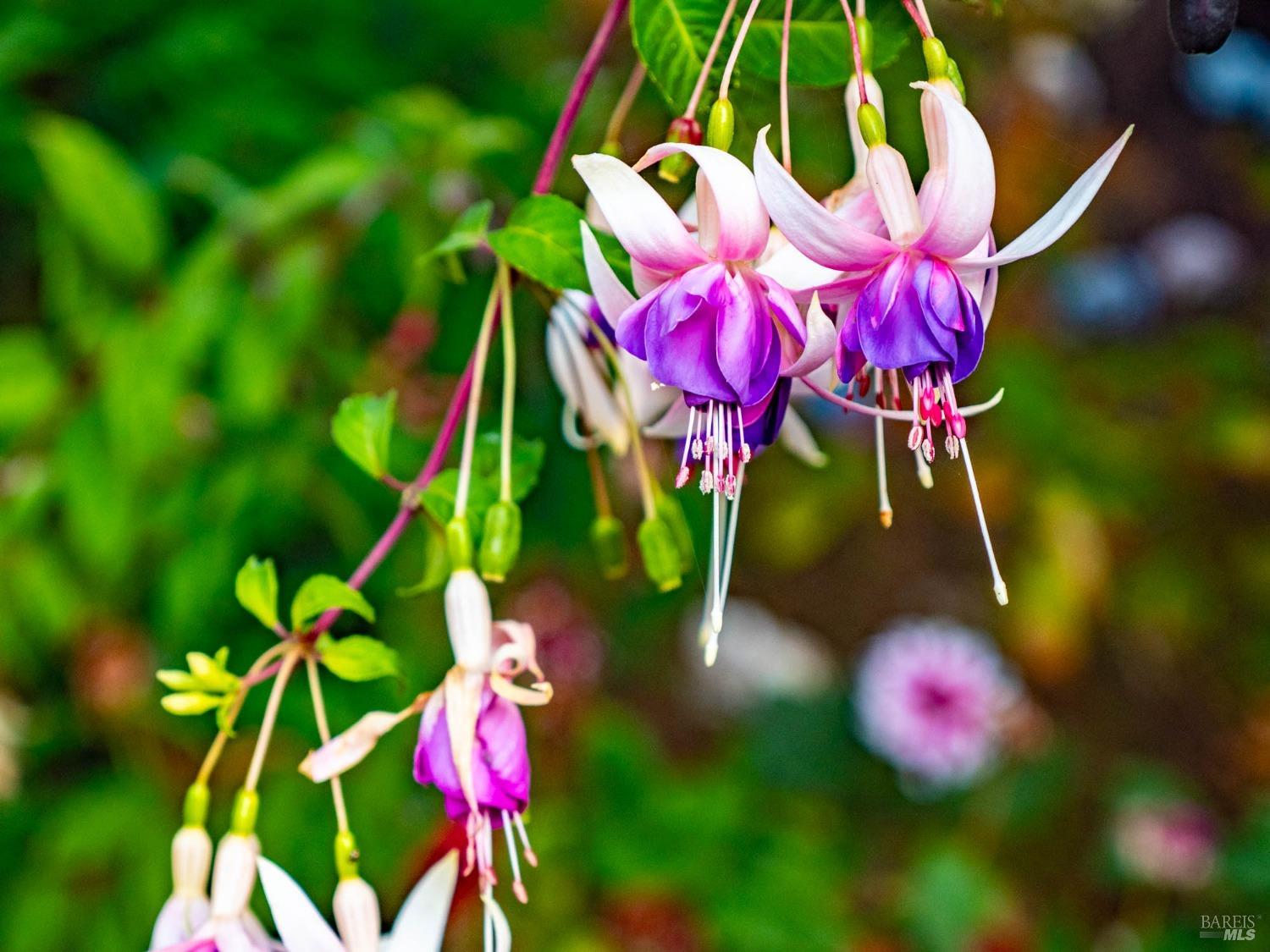 43500 Crispin Road Manchester, CA 95459 - Photo 42 of 98