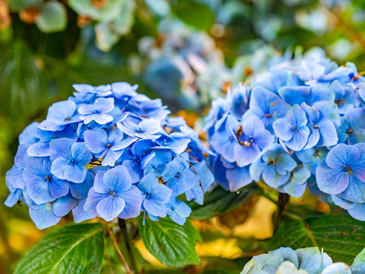 43500 Crispin Road Manchester, CA 95459 - Photo 43 of 98