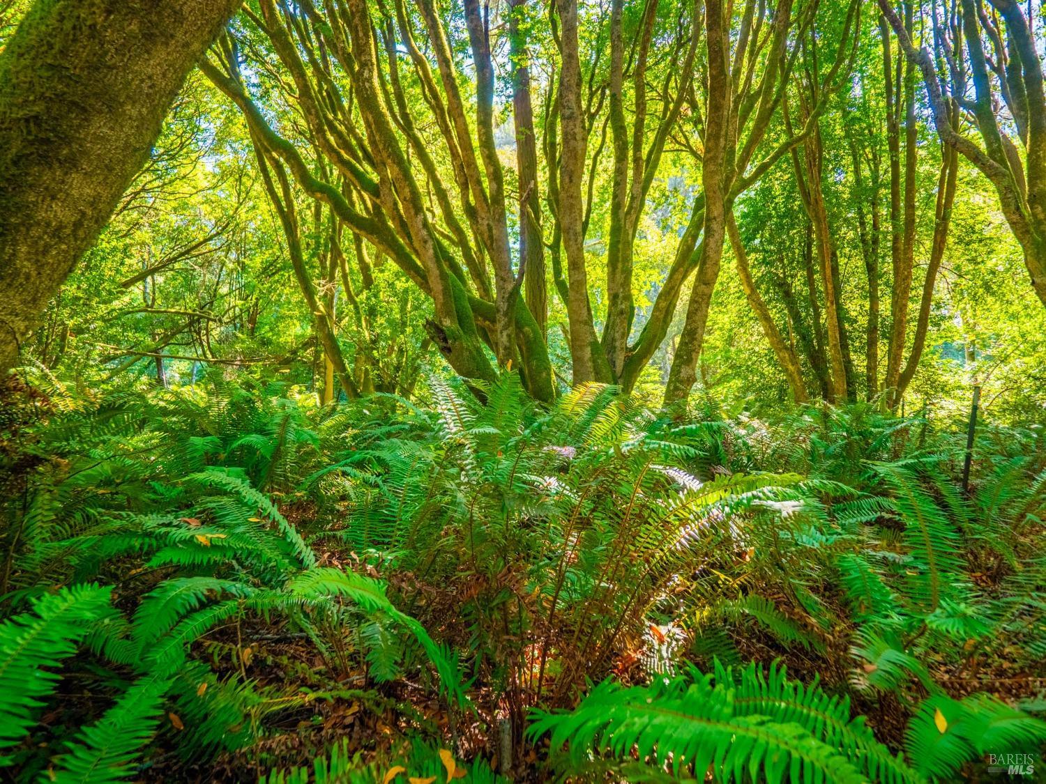 43500 Crispin Road Manchester, CA 95459 - Photo 89 of 98