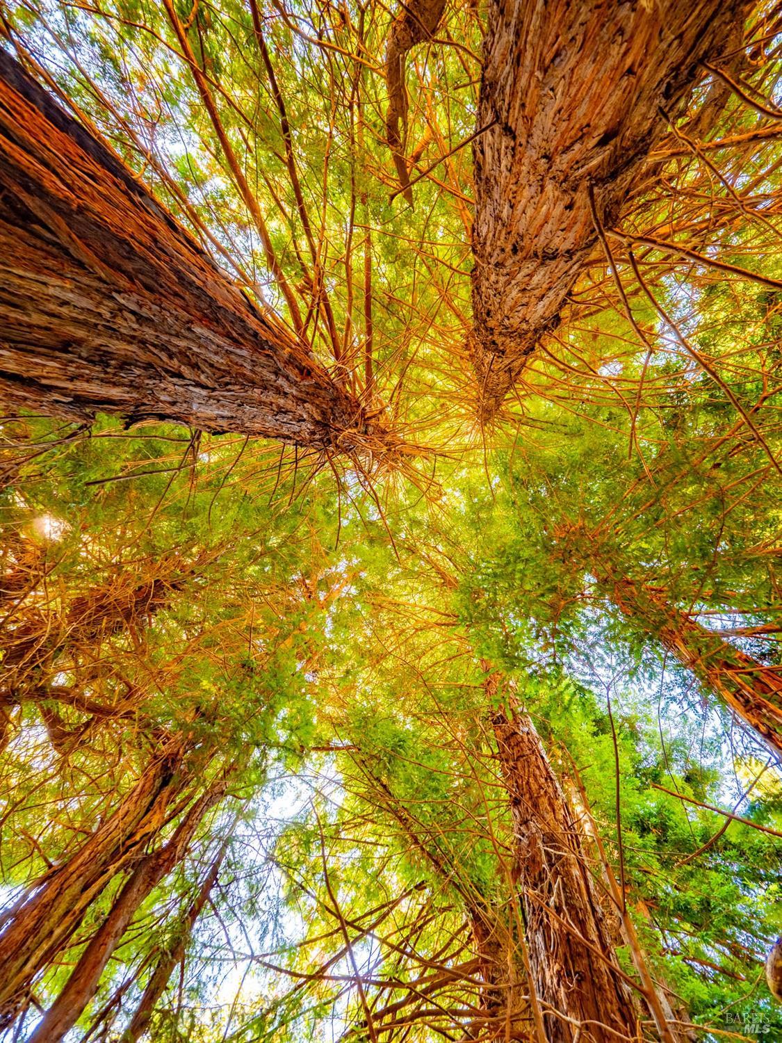 43500 Crispin Road Manchester, CA 95459 - Photo 91 of 98