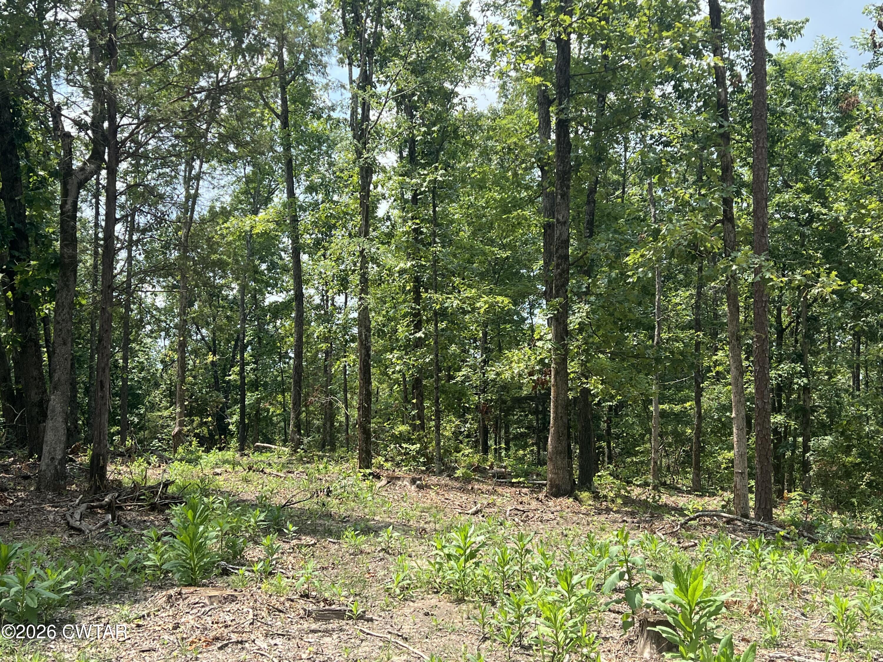 4600 Silerton Road Henderson, TN 38340 - Photo 8 of 16 IMG_6465