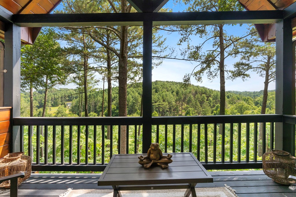 175 Woodhaven Road Blue Ridge, GA 30513 - Photo 25 of 53 Gallery Image 25