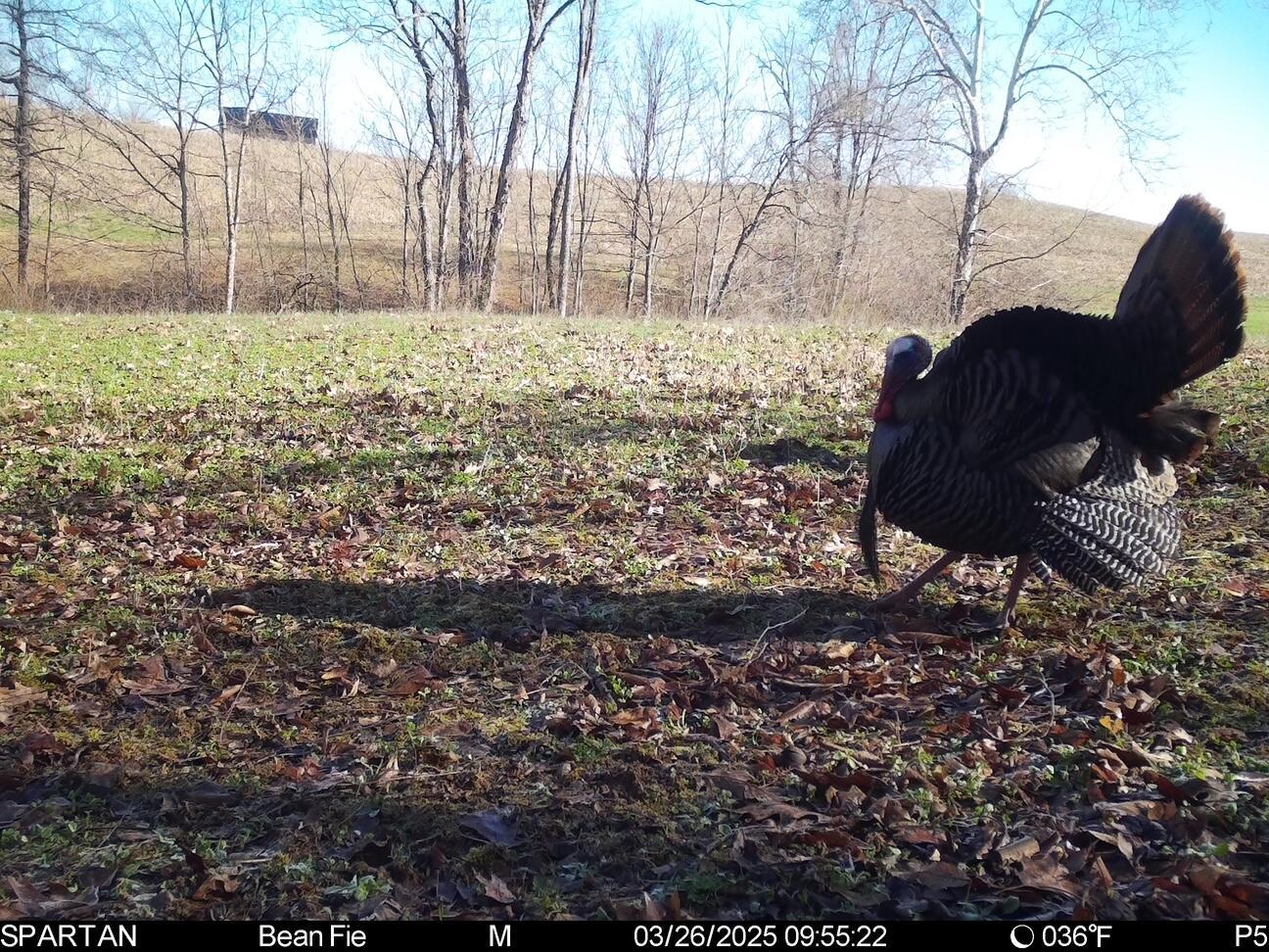 0 Stoneburner Road Northwest Crooksville, OH 43731 - Photo 18 of 26 image8