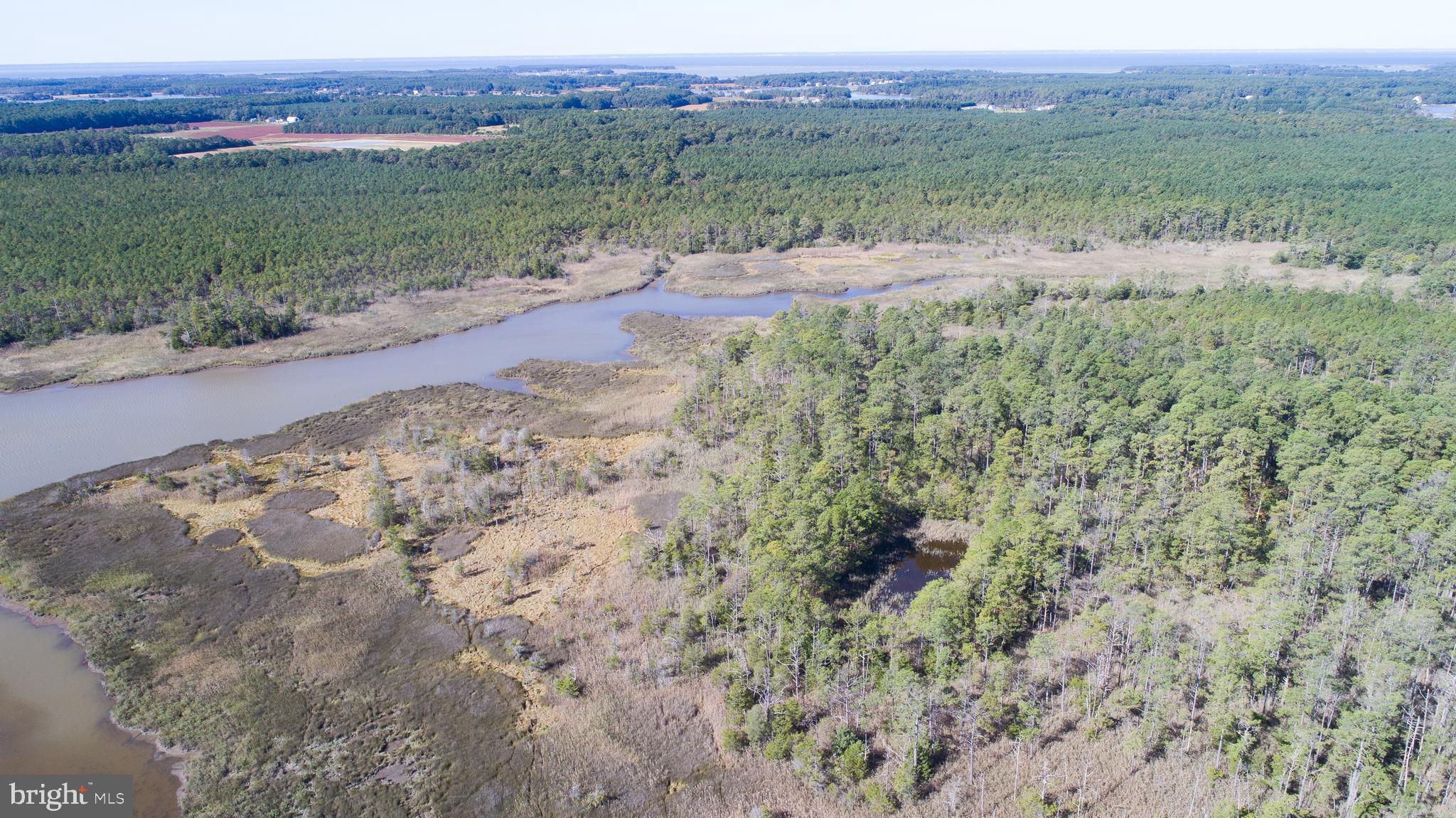 Bar Neck Road Cambridge, MD 21613 - Photo 11 of 19 Gallery Image 11
