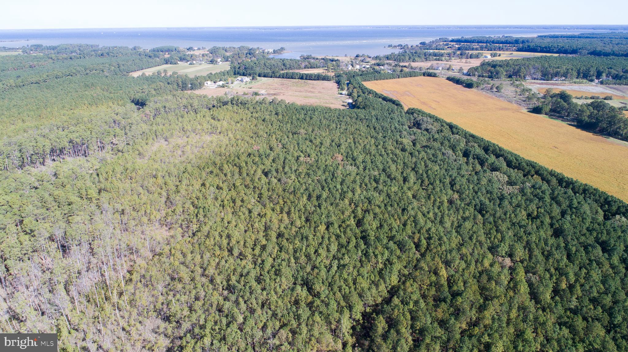 Bar Neck Road Cambridge, MD 21613 - Photo 15 of 19 Gallery Image 15