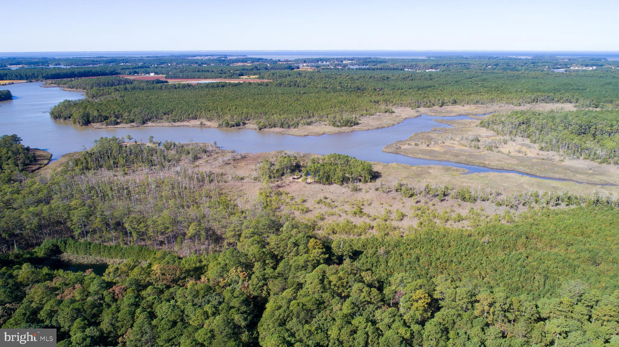 Bar Neck Road Cambridge, MD 21613 - Photo 4 of 19 Gallery Image 4