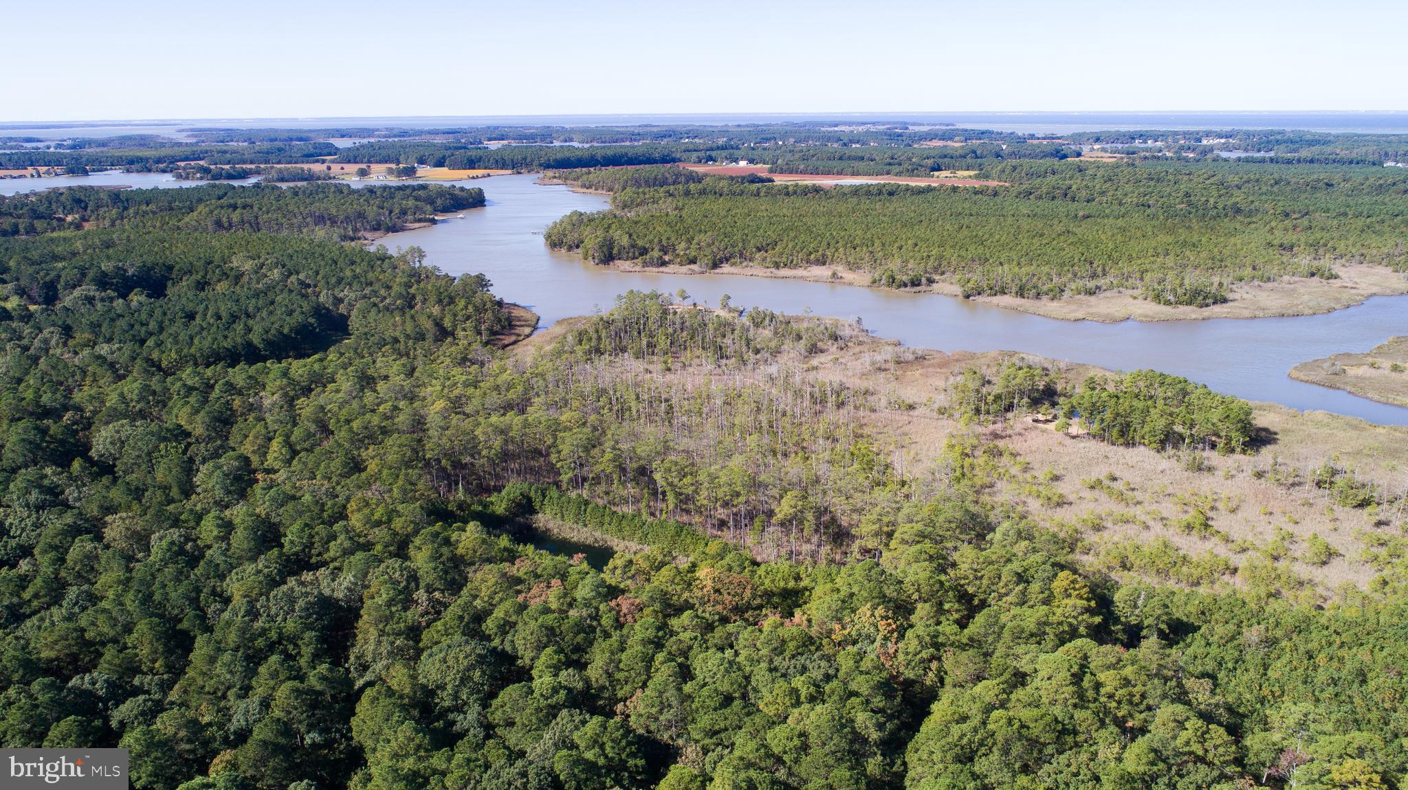 Bar Neck Road Cambridge, MD 21613 - Photo 5 of 19 Gallery Image 5