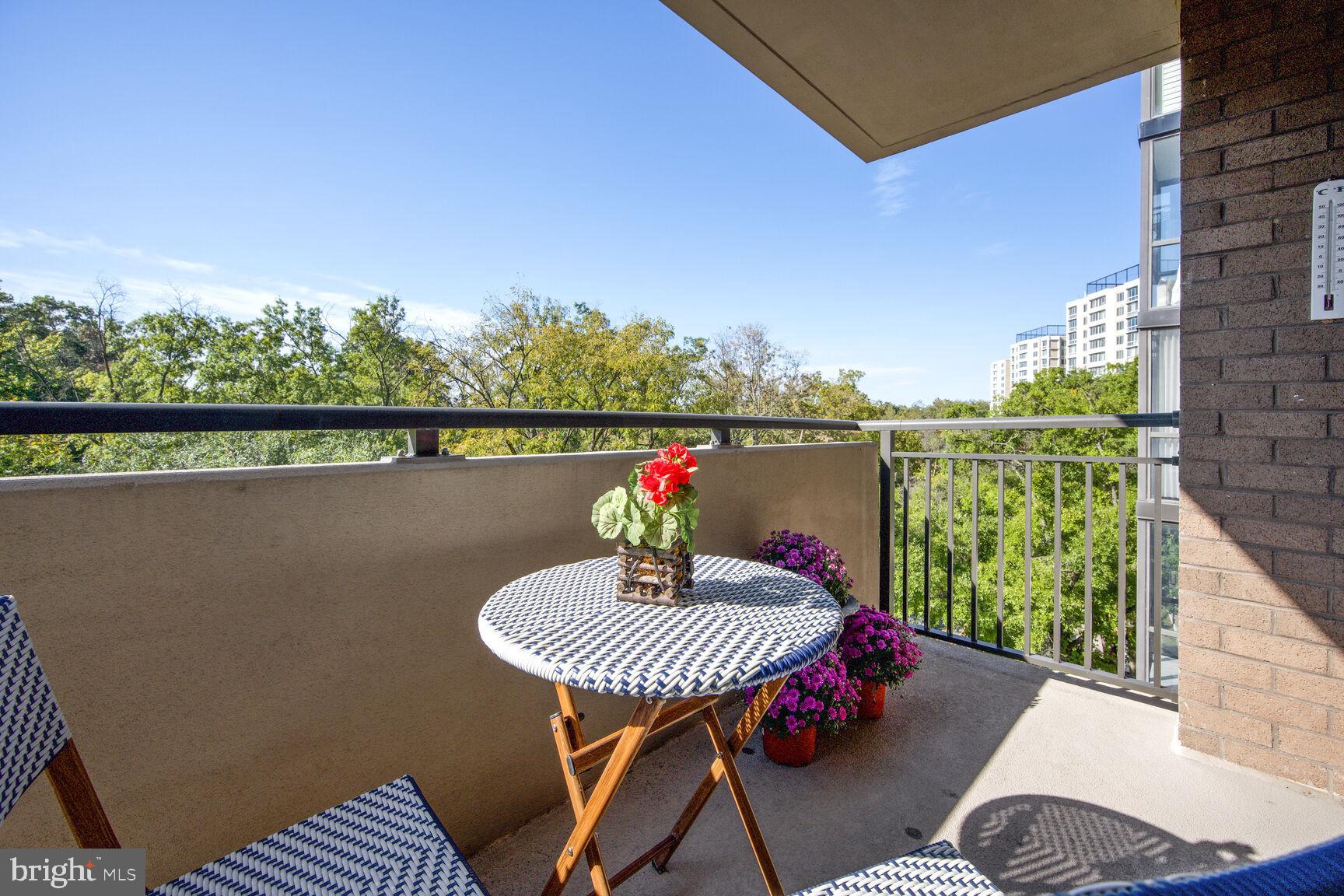 4620 North Park Avenue, Unit 504E Chevy Chase, MD 20815 - Photo 4 of 31 Balcony