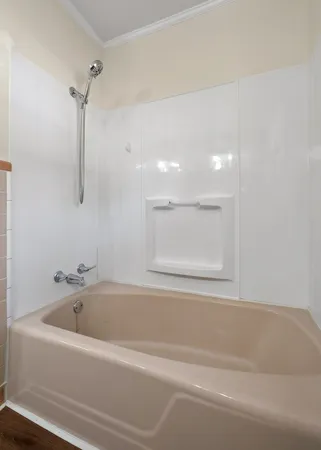a bathroom with a bathtub and a shower