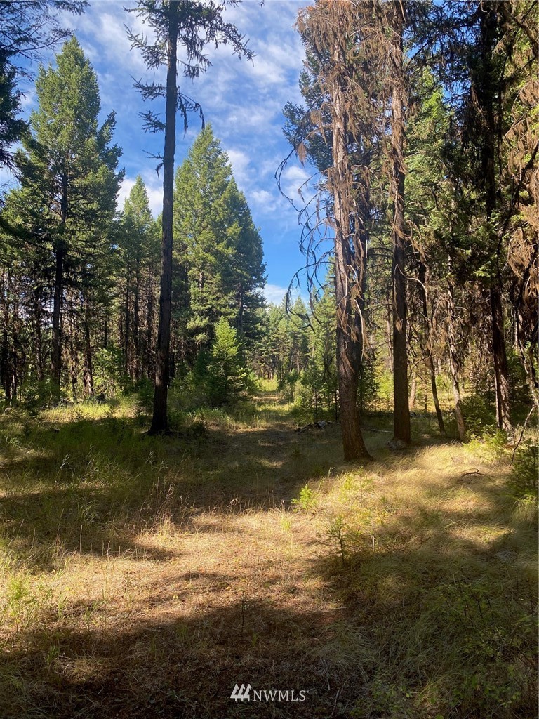 425 Pontiac Ridge Road Oroville, WA 98844 - Photo 1 of 11