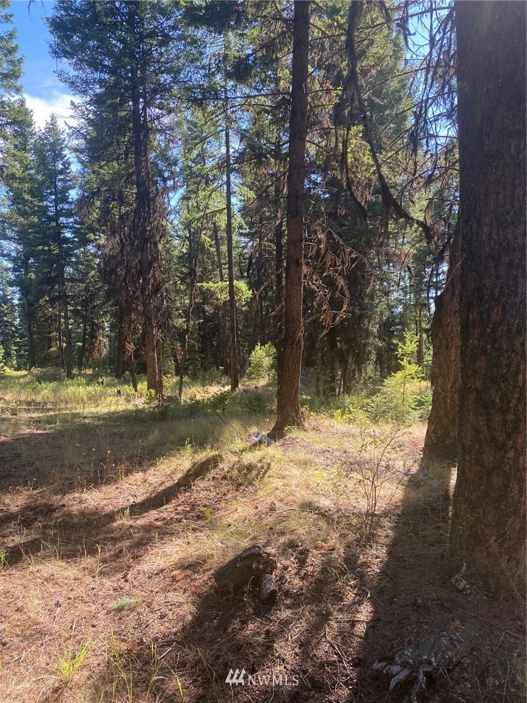 425 Pontiac Ridge Road Oroville, WA 98844 - Photo 2 of 11