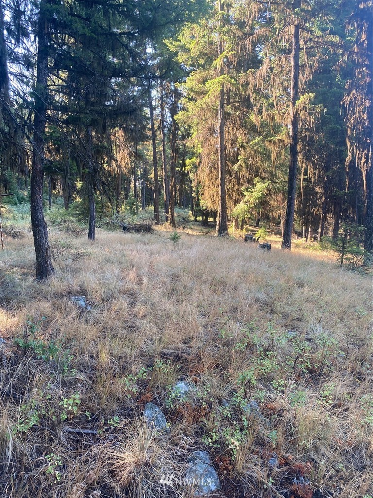 425 Pontiac Ridge Road Oroville, WA 98844 - Photo 4 of 11
