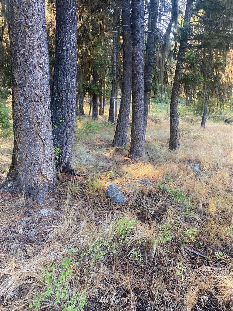 425 Pontiac Ridge Road Oroville, WA 98844 - Photo 5 of 11