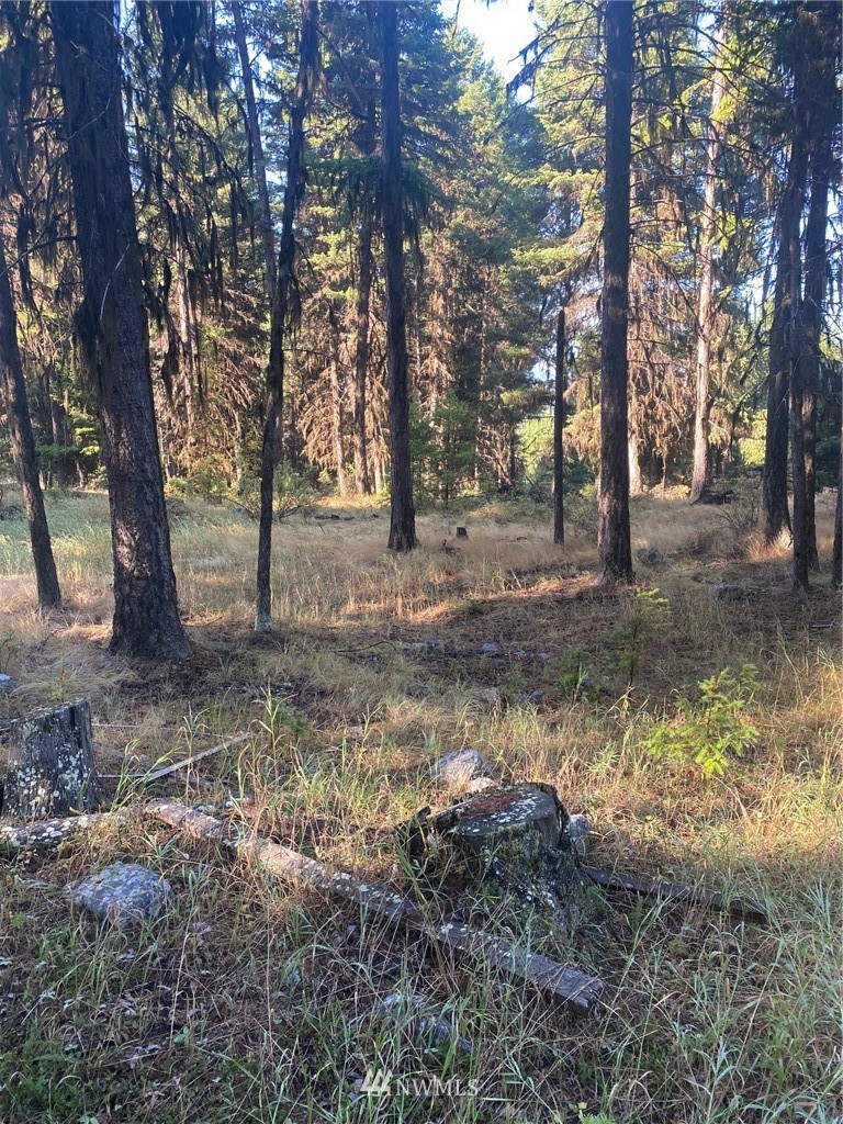425 Pontiac Ridge Road Oroville, WA 98844 - Photo 6 of 11