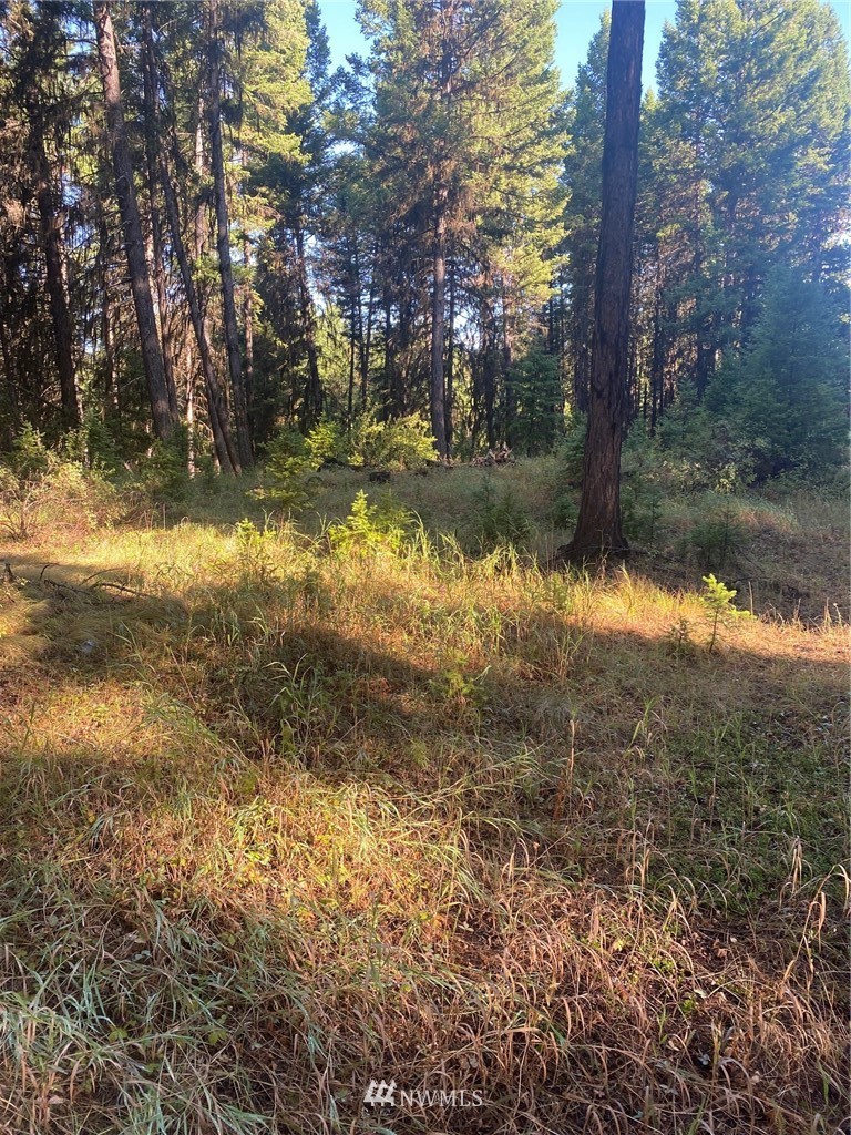 425 Pontiac Ridge Road Oroville, WA 98844 - Photo 7 of 11