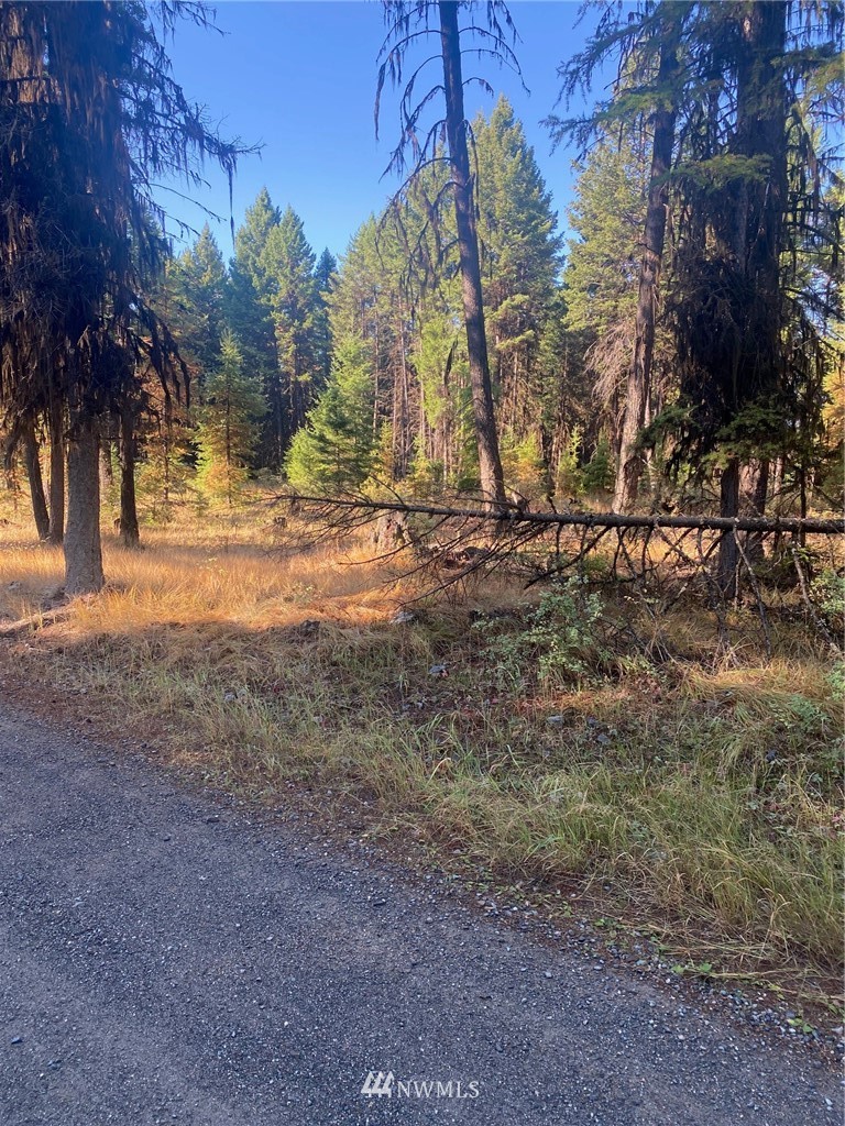 425 Pontiac Ridge Road Oroville, WA 98844 - Photo 8 of 11