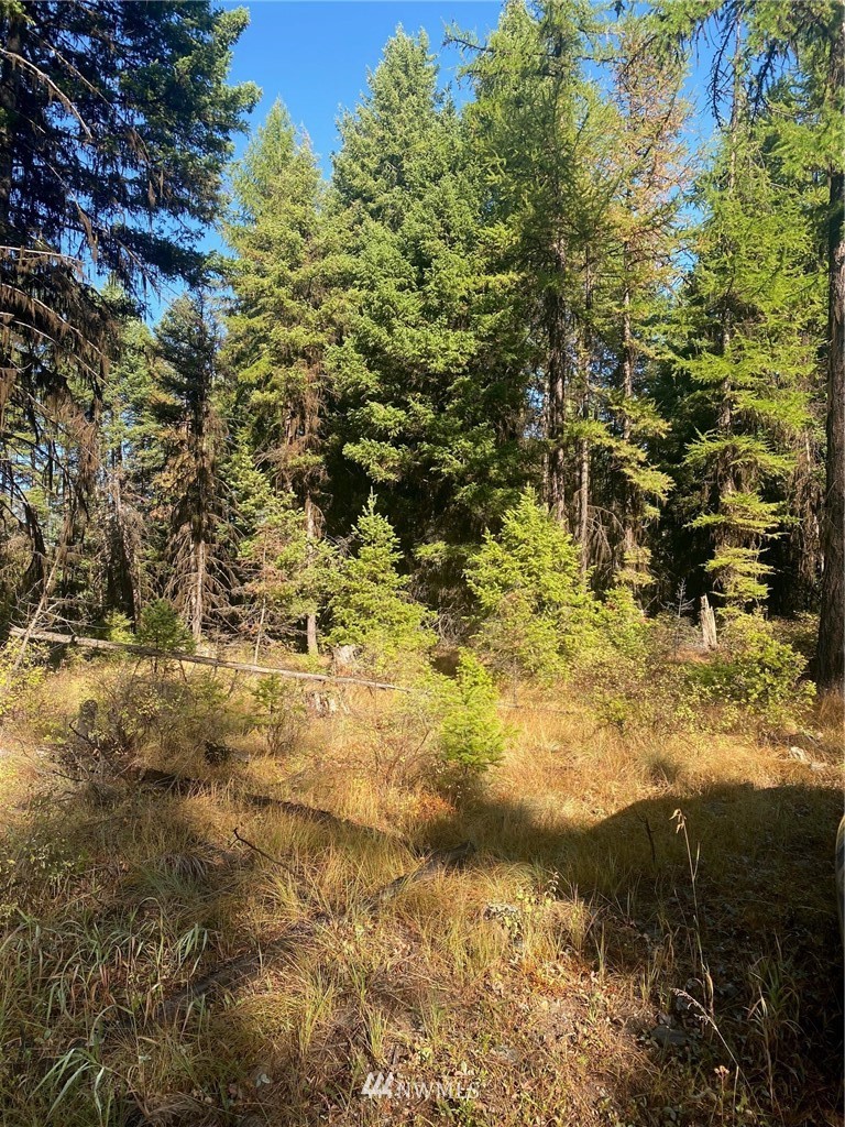 425 Pontiac Ridge Road Oroville, WA 98844 - Photo 9 of 11