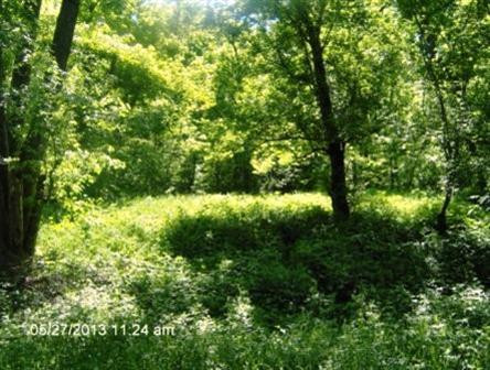 7 Chipman Ridge Road Williamstown, KY 41097 - Photo 6 of 7