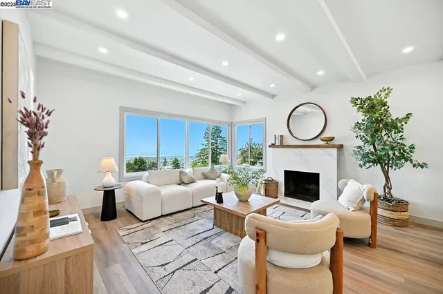 a living room with furniture a fireplace a potted plant and a fireplace