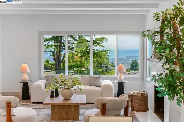 a living room with furniture and a potted plant