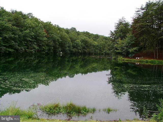 421 Hunting Road Winchester, VA 22603 - Photo 2 of 30 COMMUNITY LAKE SUMMER
