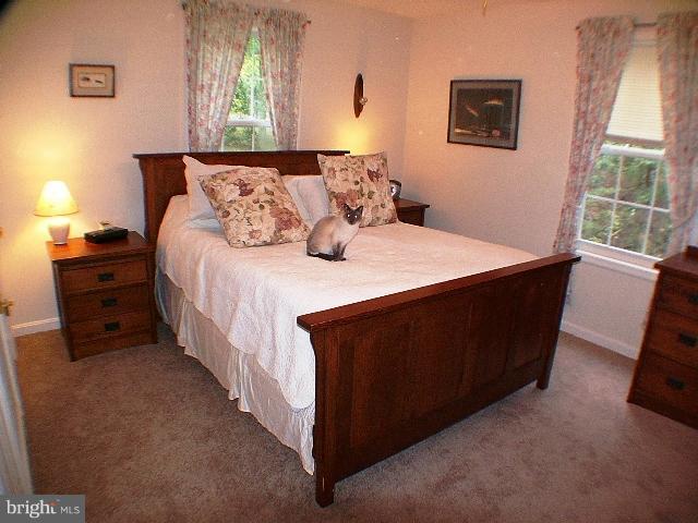421 Hunting Road Winchester, VA 22603 - Photo 11 of 30 MASTER BEDROOM