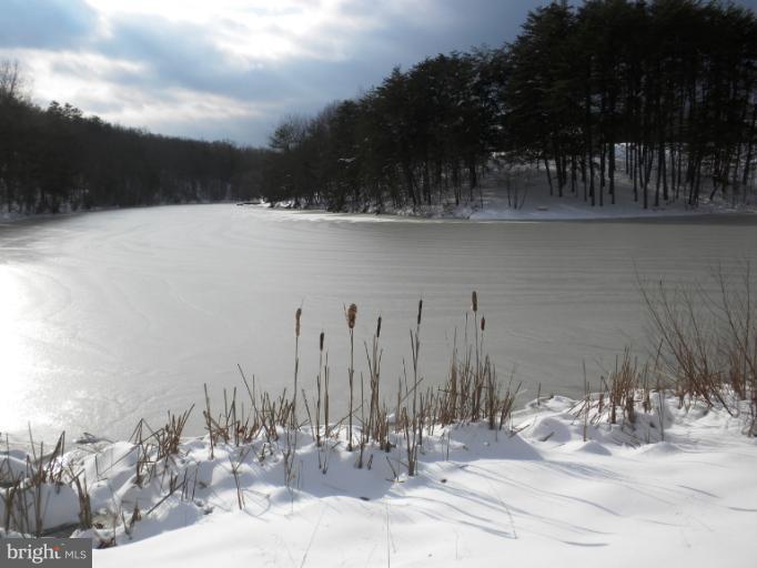 421 Hunting Road Winchester, VA 22603 - Photo 20 of 30 COMMUNITY LAKE WINTER