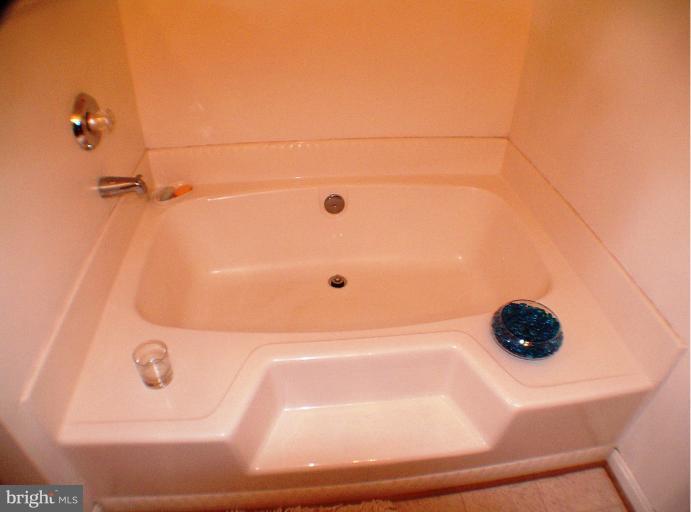 421 Hunting Road Winchester, VA 22603 - Photo 24 of 30 MASTER BATHROOM