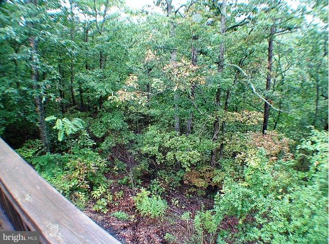421 Hunting Road Winchester, VA 22603 - Photo 6 of 30 WOODED AREA
