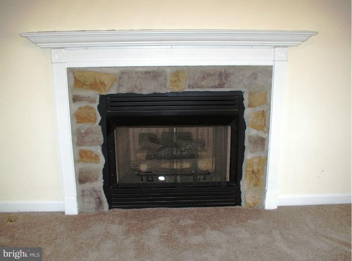 421 Hunting Road Winchester, VA 22603 - Photo 9 of 30 FIREPLACE