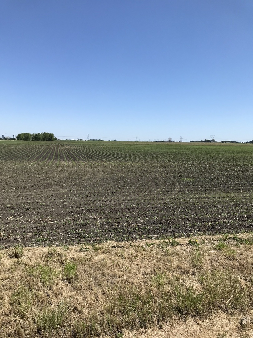 0 West Offner Road Manhattan, IL 60442 - Photo 3 of 7