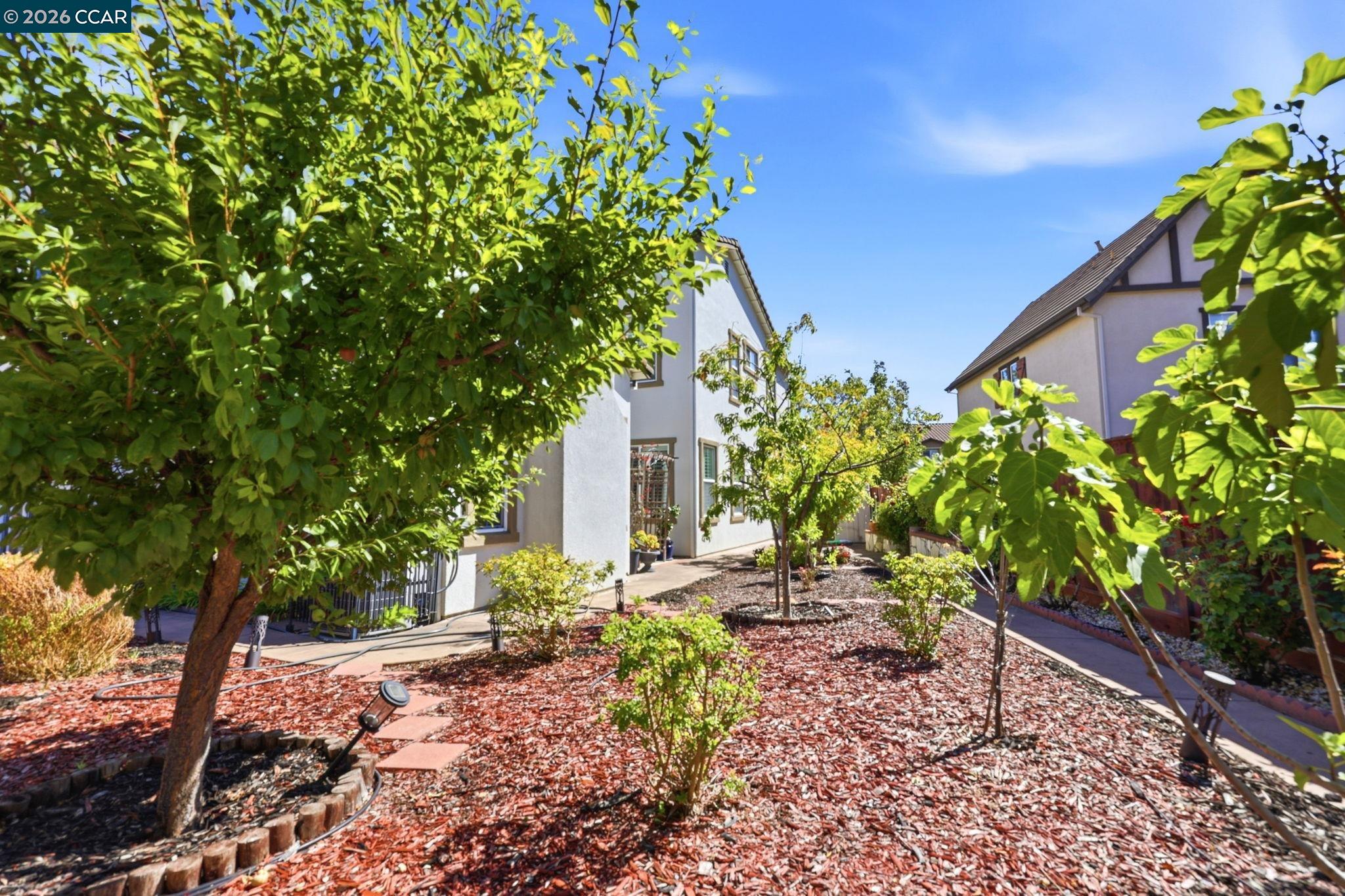 165 Paddington Court San Ramon, CA 94582 - Photo 39 of 44
