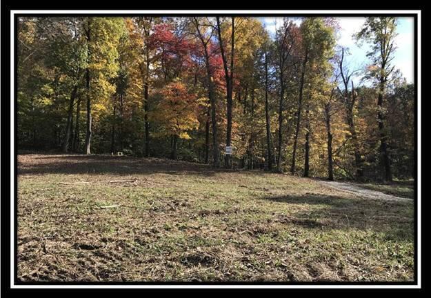 1476 Whetstone Road Bainbridge, OH 45612 - Photo 19 of 37 image019