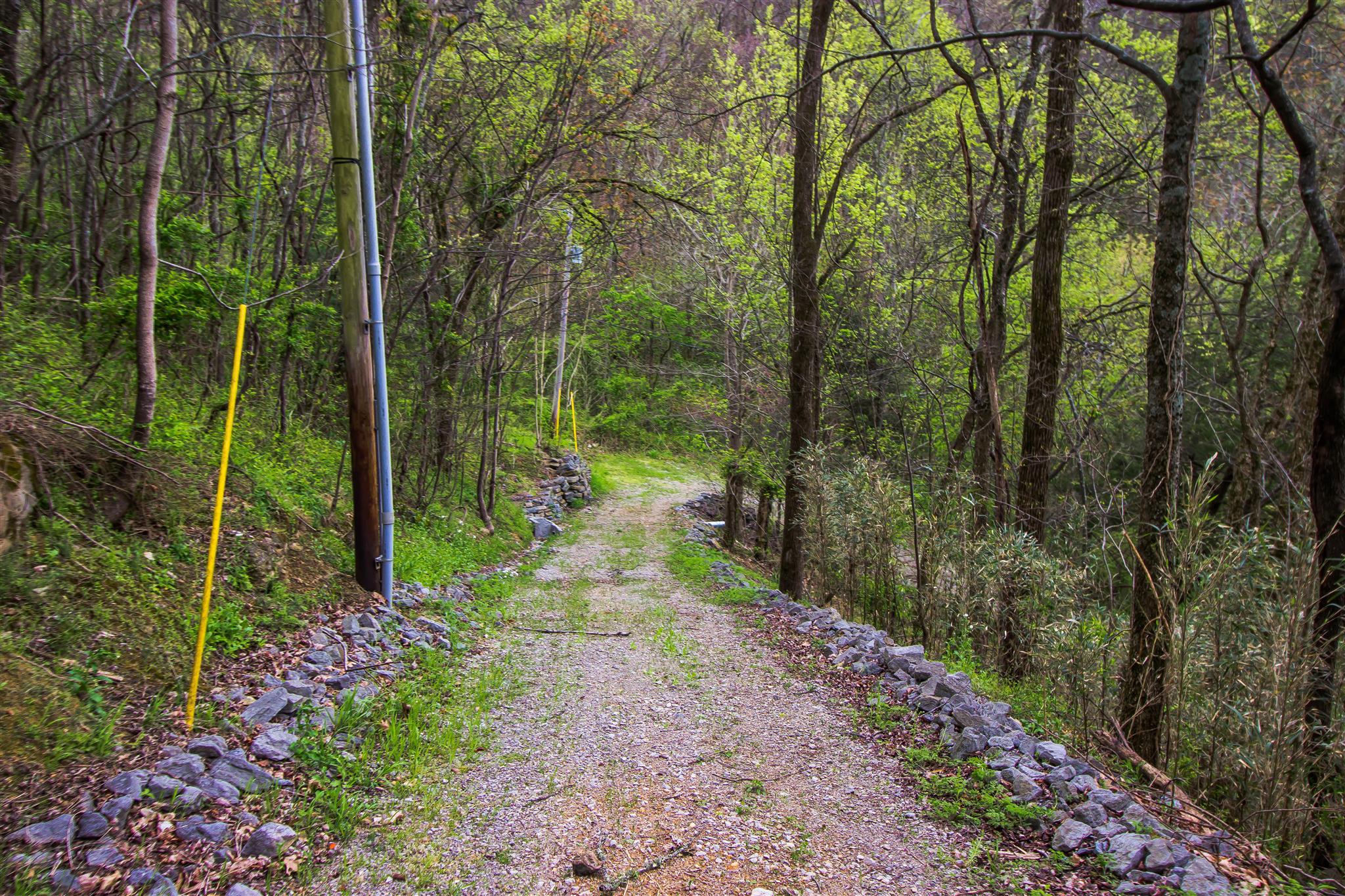 251 Lakewood Road Silver Point, TN 38582 - Photo 13 of 15