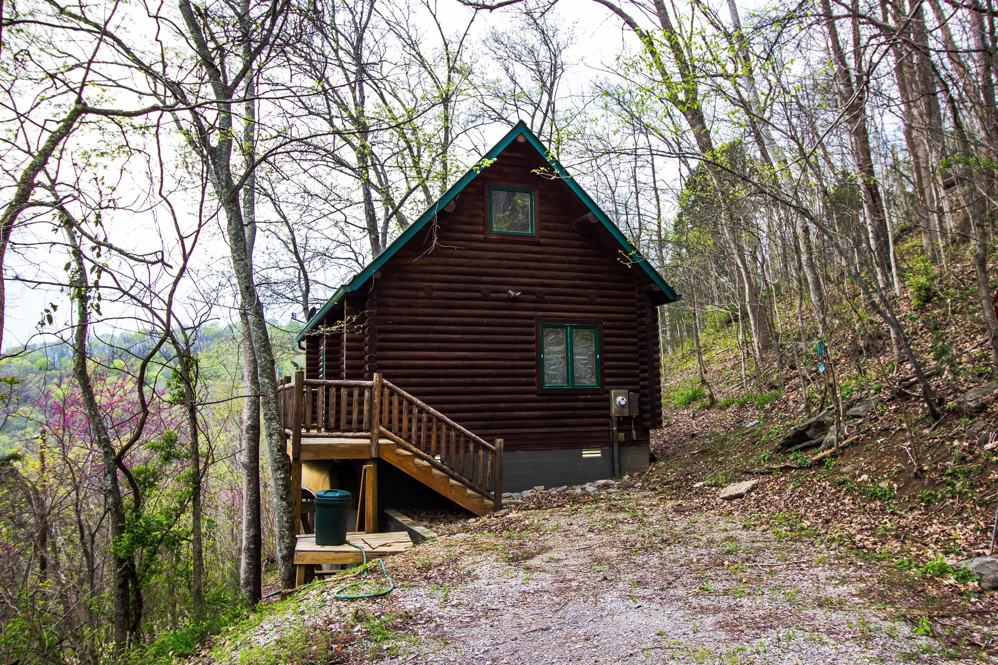 251 Lakewood Road Silver Point, TN 38582 - Photo 5 of 15