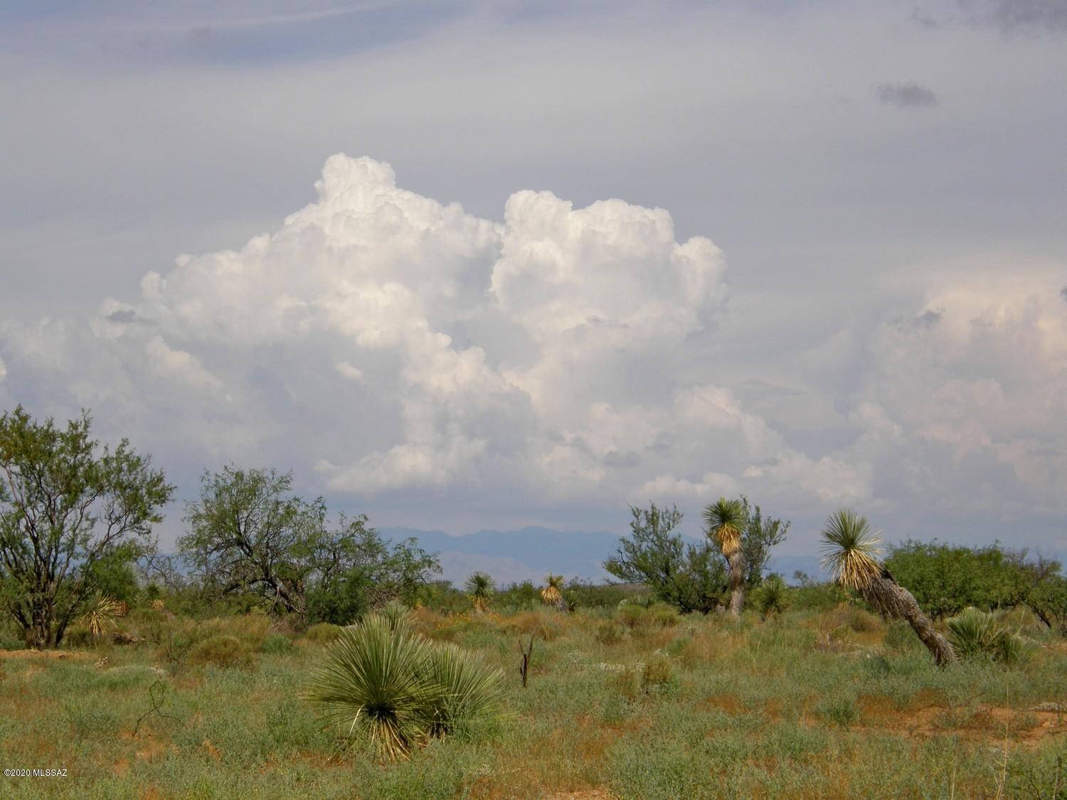 Tbd South Covered Wagon Road, Unit 71 Willcox, AZ 85643 - Photo 11 of 12