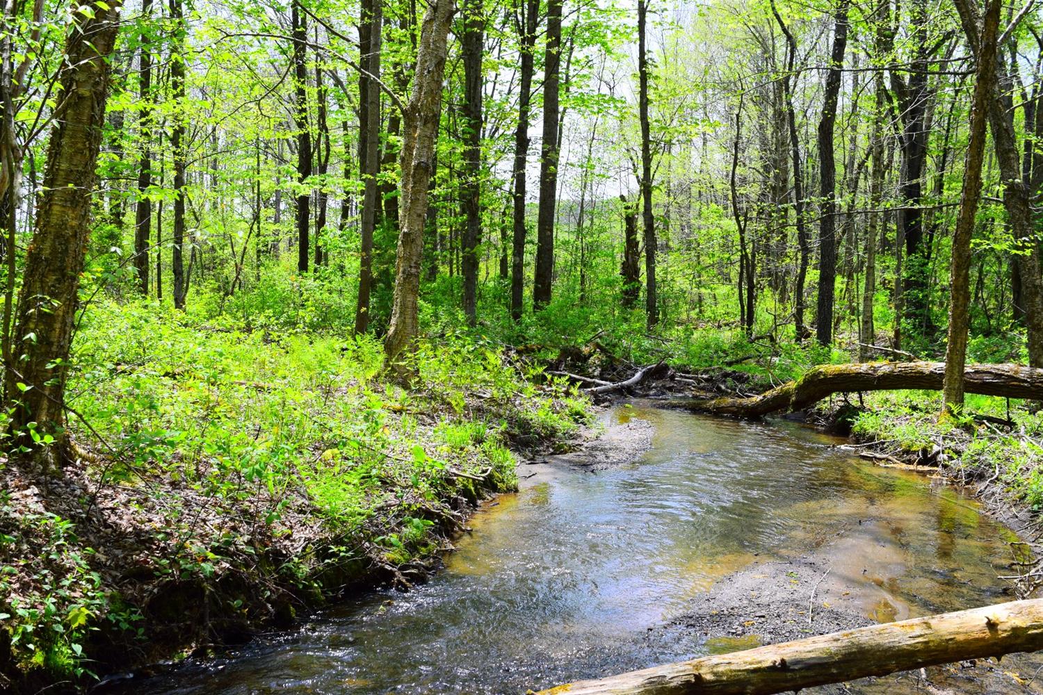 0 Fish And Game Road Worcester, NY 12197 - Photo 1 of 1 Gallery Image 1