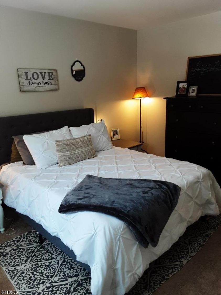 309 Mountain Lake Road Great Meadows, NJ 07838 - Photo 3 of 9