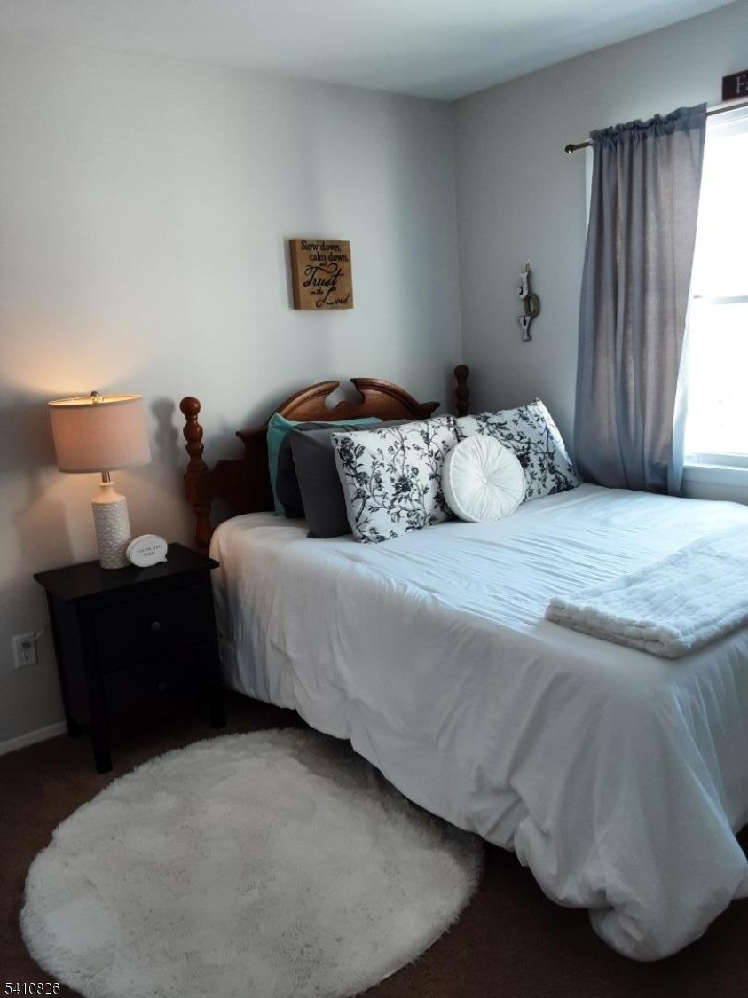 309 Mountain Lake Road Great Meadows, NJ 07838 - Photo 5 of 9