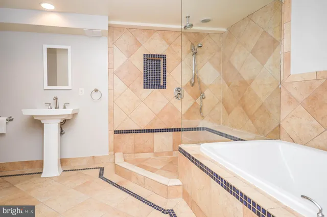 a view of a park with large trees