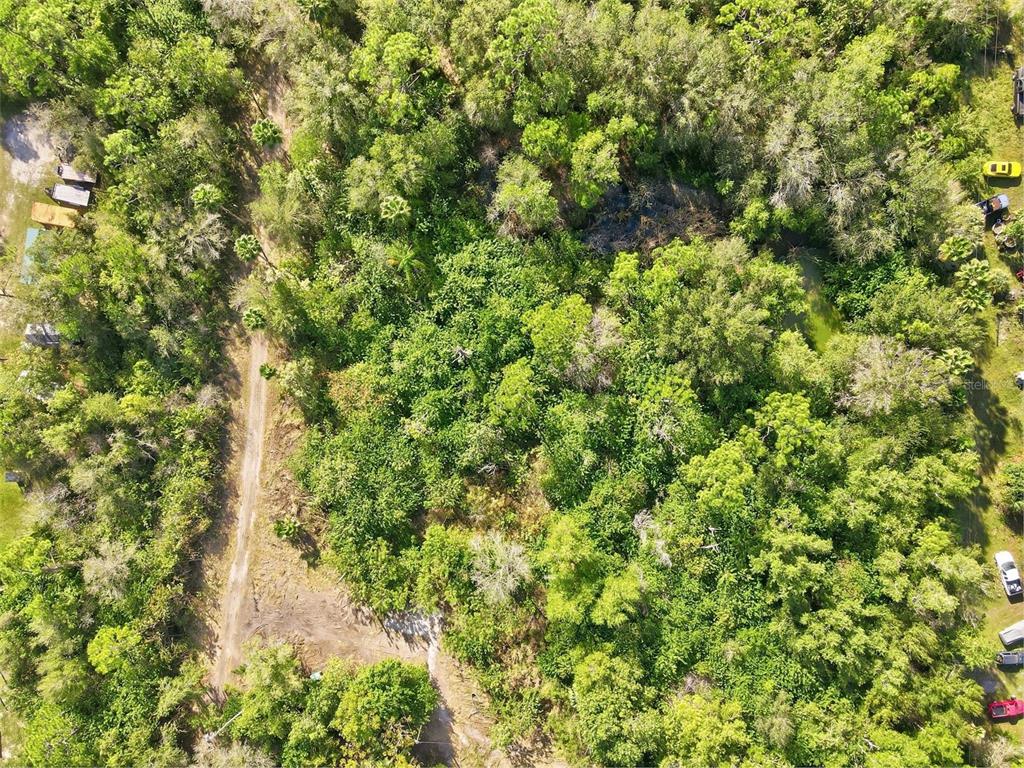 39970 Little Farm Road Punta Gorda, FL 33982 - Photo 11 of 20 a close up of a plant