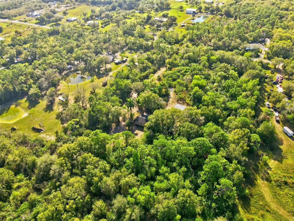 39970 Little Farm Road Punta Gorda, FL 33982 - Photo 20 of 20 a view of a large yard with a tree