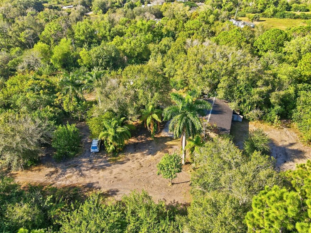 39970 Little Farm Road Punta Gorda, FL 33982 - Photo 2 of 20 a view of a yard with plants
